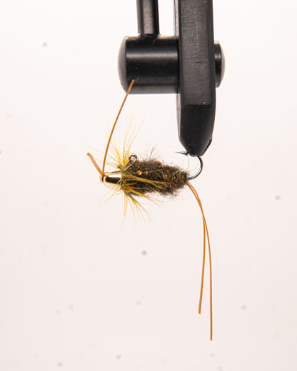 ALPHA - WILD OLIVE