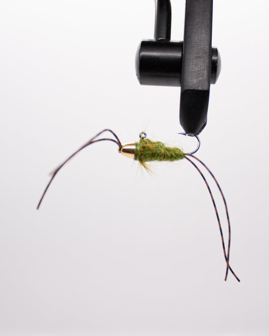 APEX - OLIVE CADDIS
