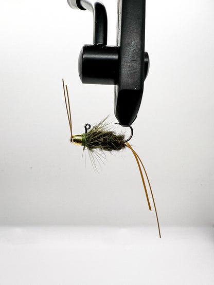 ALPHA - WILD OLIVE