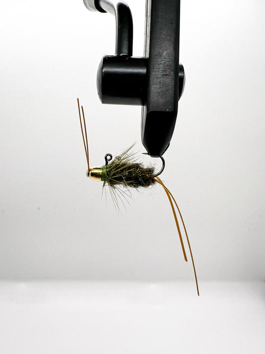 ALPHA - WILD OLIVE